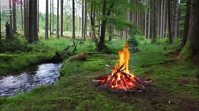 Snapshot of rusbigpaul chatting on 12, 2, 2025 rusbigpaul online show from 12, 2, 2025