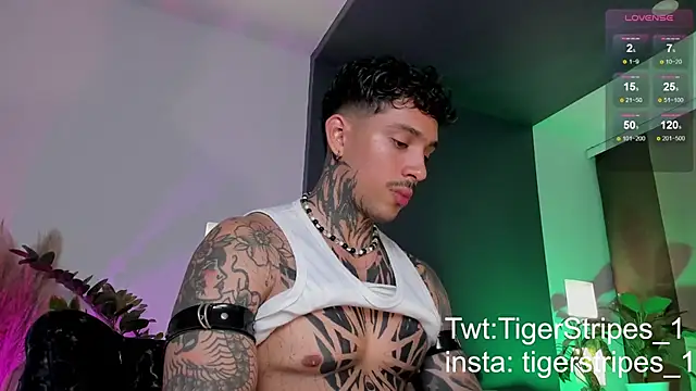 Snapshot of TigerStripes1_ chatting on 22, 3, 2025 TigerStripes1 online show from 22, 3, 2025